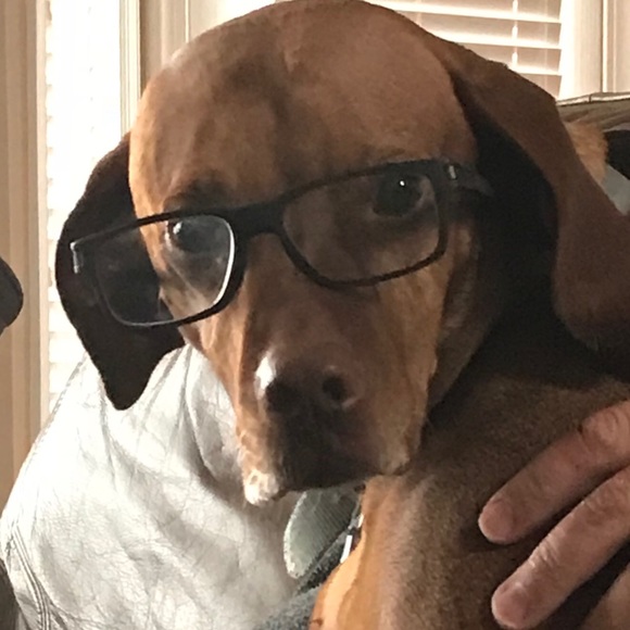 cwillink